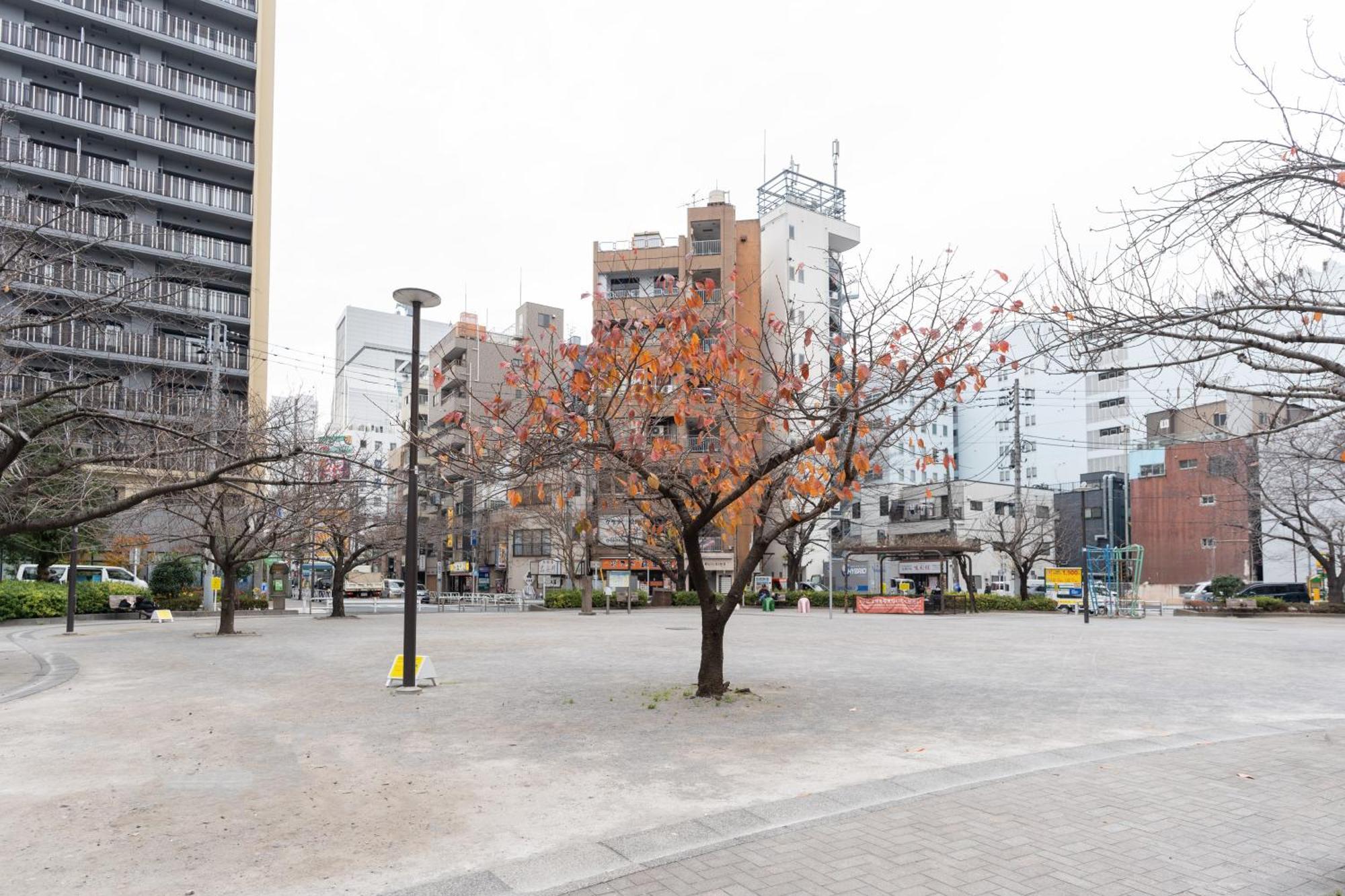 דירות טוקיו 錦糸町ハウス מראה חיצוני תמונה